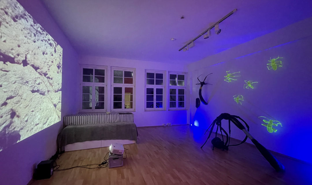 Peter Pohl - Eike Berg
